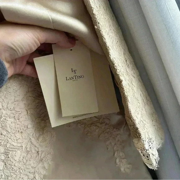 LanTing Mother of the Bride Tan Dress with  Lace - Picture 7 of 12